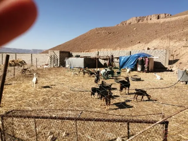 صورة مصغرة 4 من 5 — للبيع أرض زراعية 17الف متر القطن - بروج
