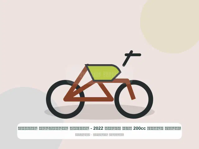 صورة مصغرة 3 من 5 — دراجة نارية 200cc فضي موديل 2022 - المميز الاقتصادي المتين