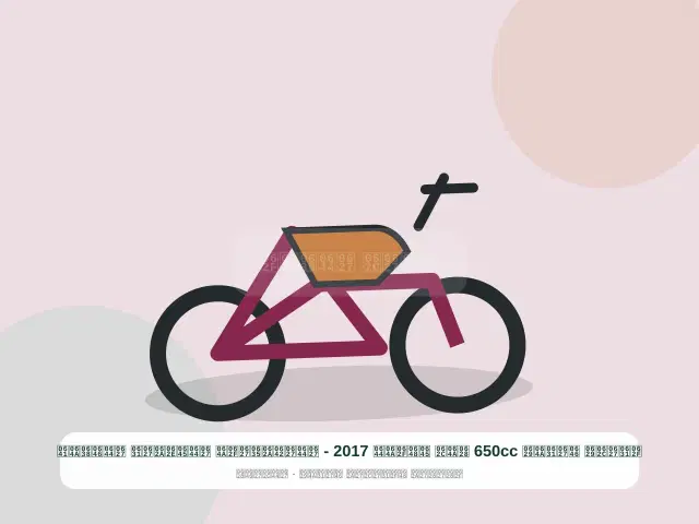 صورة مصغرة 2 من 5 — دراجة نارية 650cc بيج موديل 2017 - الاقتصادي المختار النظيف
