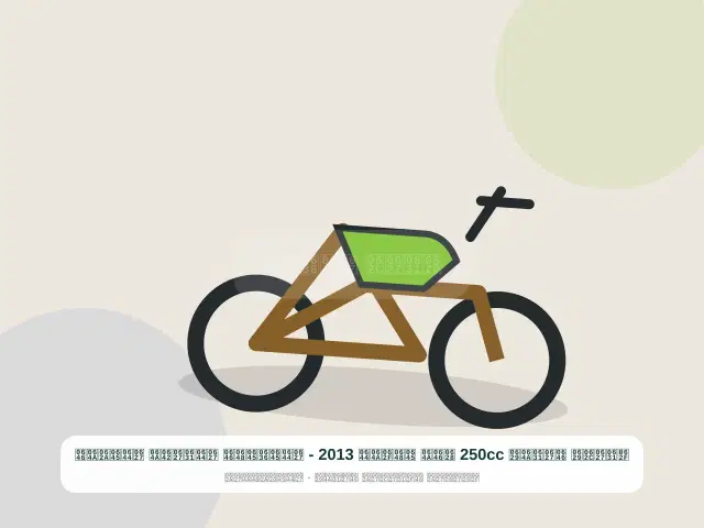 صورة مصغرة 5 من 5 — دراجة نارية 250cc بني موديل 2013 - المضمون الراقي المتين