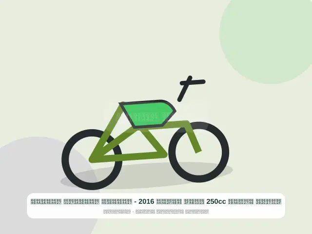 دراجة نارية 250cc أسود موديل 2016 - المنظم المختار المتين