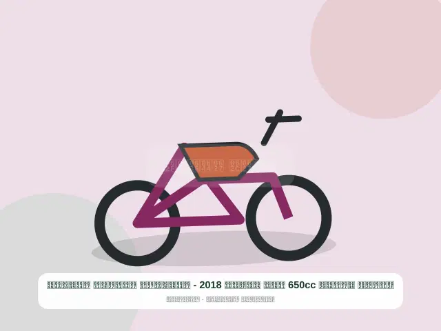 صورة مصغرة 2 من 5 — دراجة نارية 650cc فضي موديل 2018 - المختار الفاخر المتين