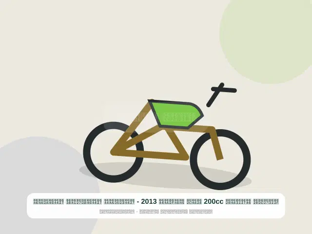 صورة مصغرة 5 من 5 — دراجة نارية 200cc بيج موديل 2013 - الأصيل المحافظ المتين