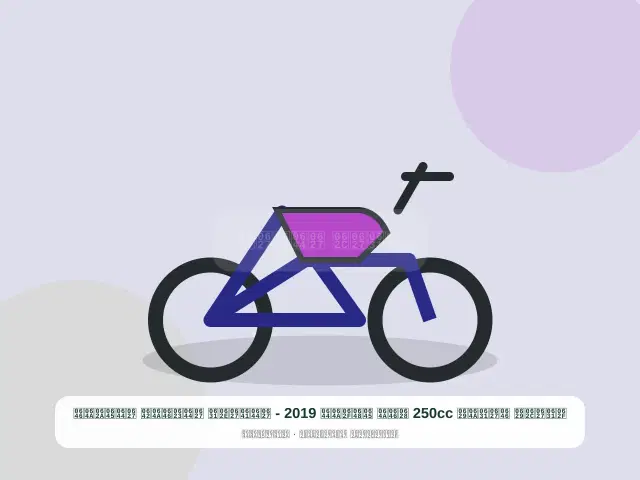 صورة مصغرة 3 من 5 — دراجة نارية 250cc بني موديل 2019 - الفاخر الأنيق المتين