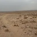 صورة حساب عمر المشجري